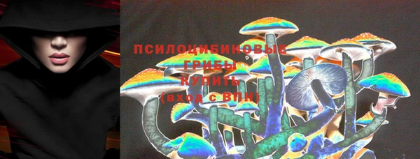 ГАЛЛЮЦИНОГЕННЫЕ ГРИБЫ Осинники