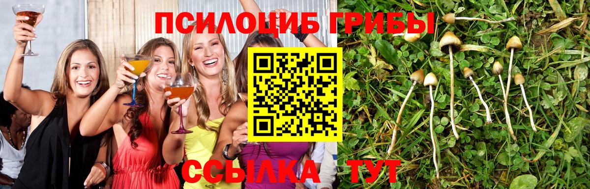 Псилоцибиновые грибы прущие грибы  Вход с VPN  Волоколамск 