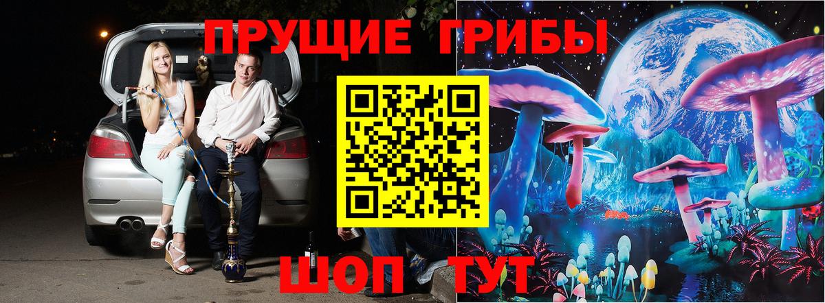Галлюциногенные грибы Psilocybe Волоколамск